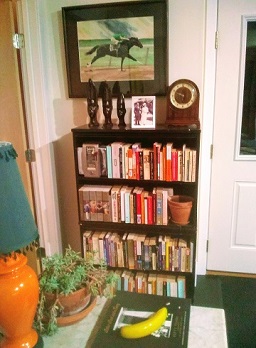 Lovejoy's bookshelf